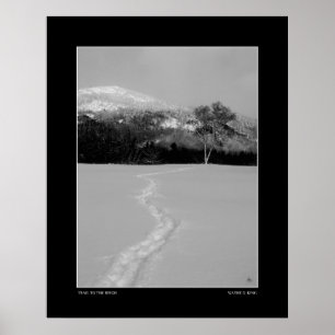 Poster Piste à un bouleau en hiver (Monochrome)