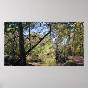 Poster Piste Bull Run