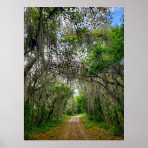 Poster Piste de boucle du lac Apopka, Floride