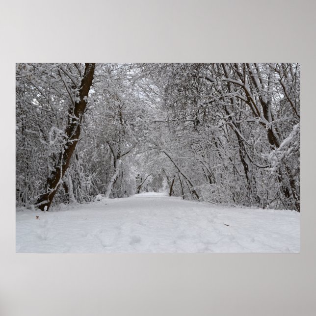 Poster Piste de neige (Devant)