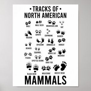 Poster Pistes d'animaux sauvages de mammifères nord-améri