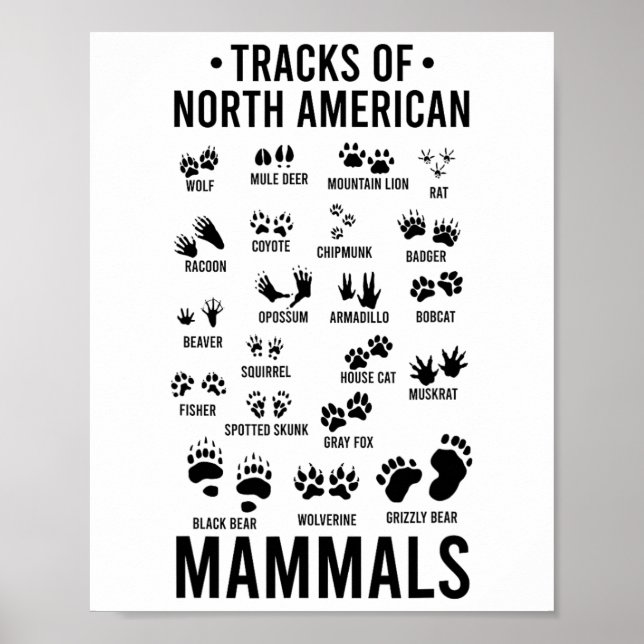 Poster Pistes d'animaux sauvages de mammifères nord-améri (Devant)