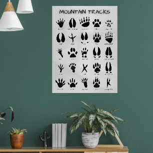 Poster Pistes de montagne