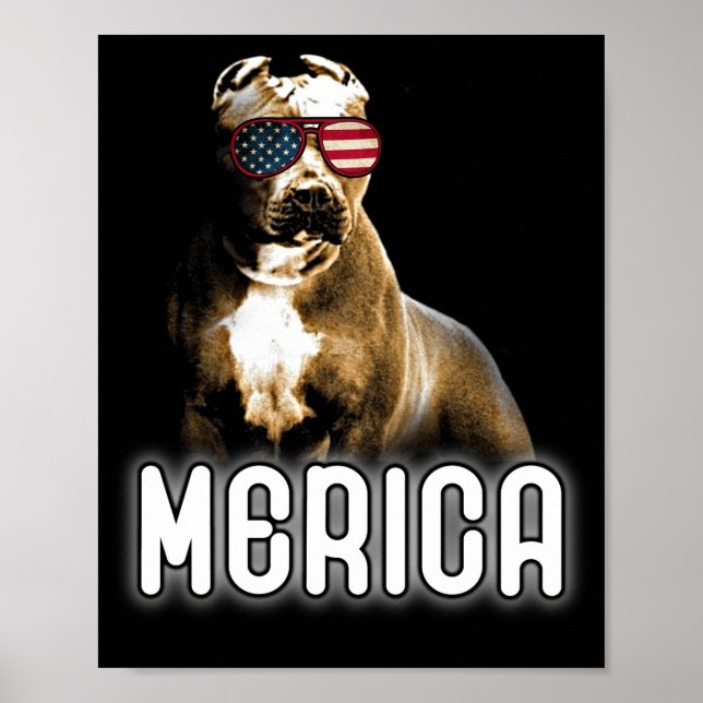 Poster Pitbull Merica Patriotic Chien Pit Bull Patriot (Devant)