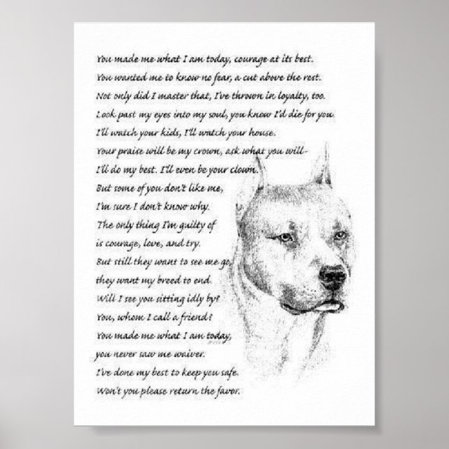 Poster pitbullpoème (Devant)