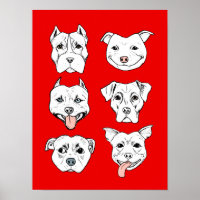 "Pittie Pittie S'Il Vous Plaît !" Motif de dessin