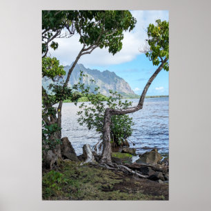Poster pittoresque Hawaii Coast View