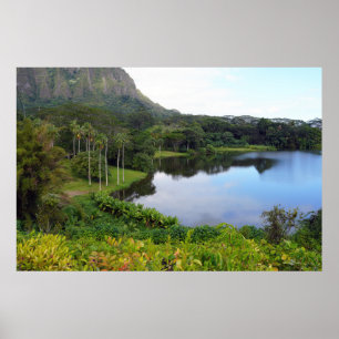 Poster pittoresque Hawaiian View