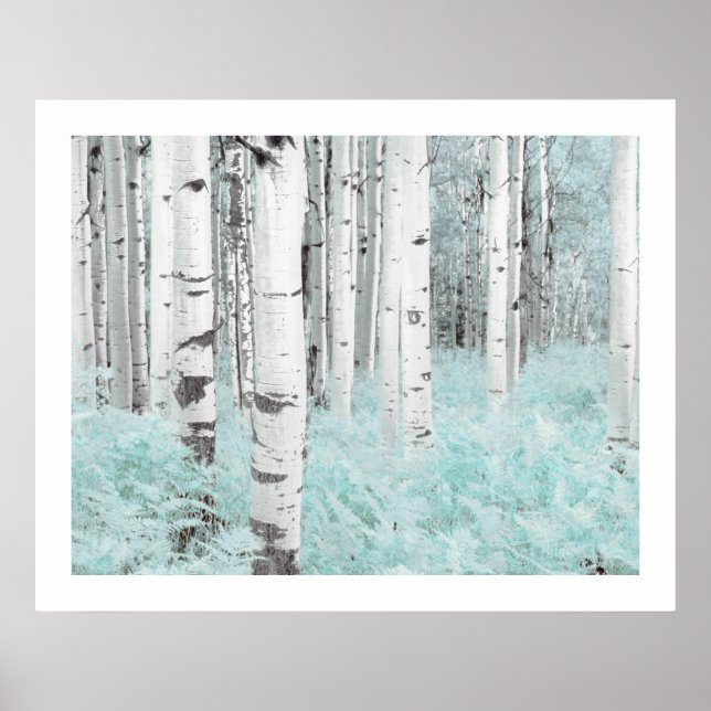 Poster PixDezines Forêt de Bouleau Argenté Bleu Fougère L (Devant)