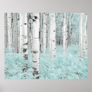 Poster PixDezines Forêt de bouleaux d'hiver Lit de fougèr