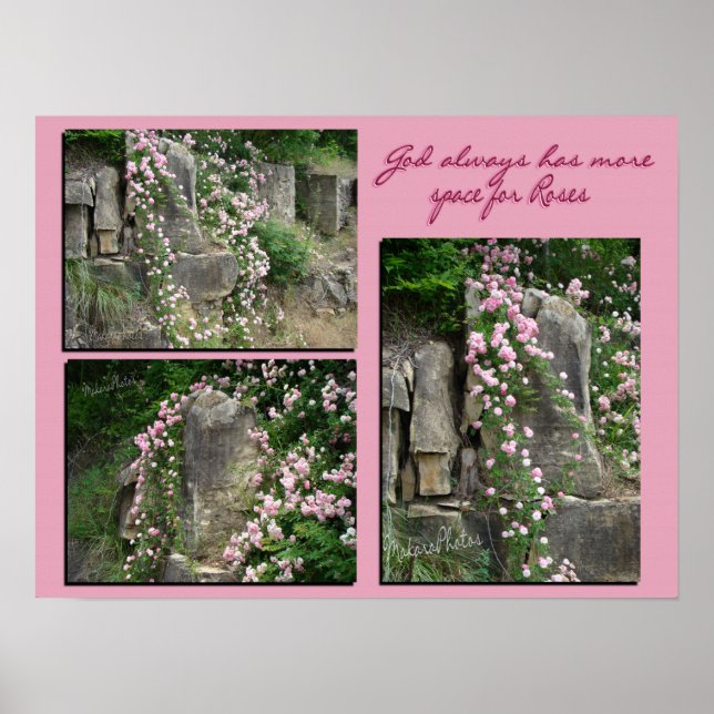 Poster Pk vieux fashroses sur bluff-ZP (Devant)