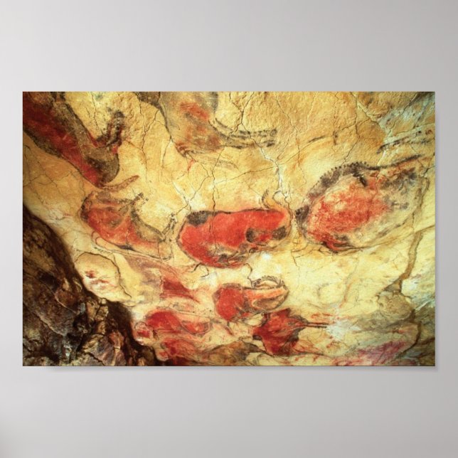 Poster Plafond à Altamira (Devant)