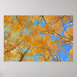 Poster Plafond d'aspect