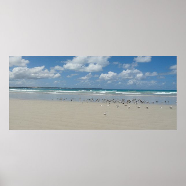 Poster Plage avec mouettes (Devant)