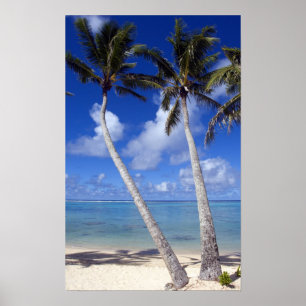Poster Plage bordée de palmiers Cook Islands