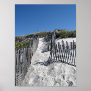 Poster Plage Cape Cod de Chapin