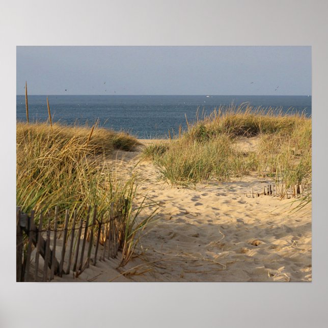 Poster Plage dans les dunes de sable (Devant)