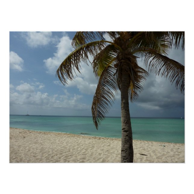 Poster Plage d'Aruba I Belle Scène Nature (Devant)