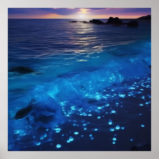 Poster Plage de bioluminescence des eaux