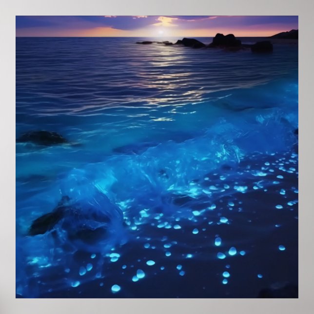 Poster Plage de bioluminescence des eaux (Devant)