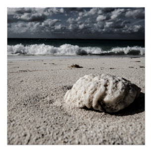 Poster Plage de Black&White