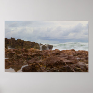 Poster Plage de Coral Cove Park, Floride