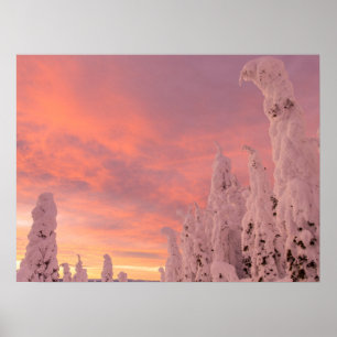 Poster Plage de corégones   Corégone, Montana