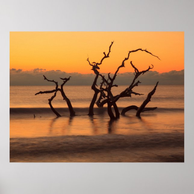 Poster Plage de Driftwood à Sunrise Jekyll Island Georgia (Devant)
