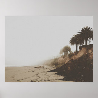Poster Plage de Foggy tonique Chaleureuse avec Palmiers