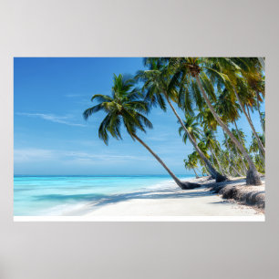 Poster Plage de palmiers exotiques eau turquoise paradis
