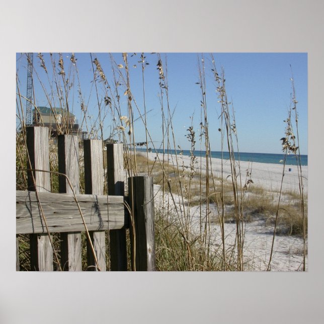 Poster Plage de Panama City (Devant)