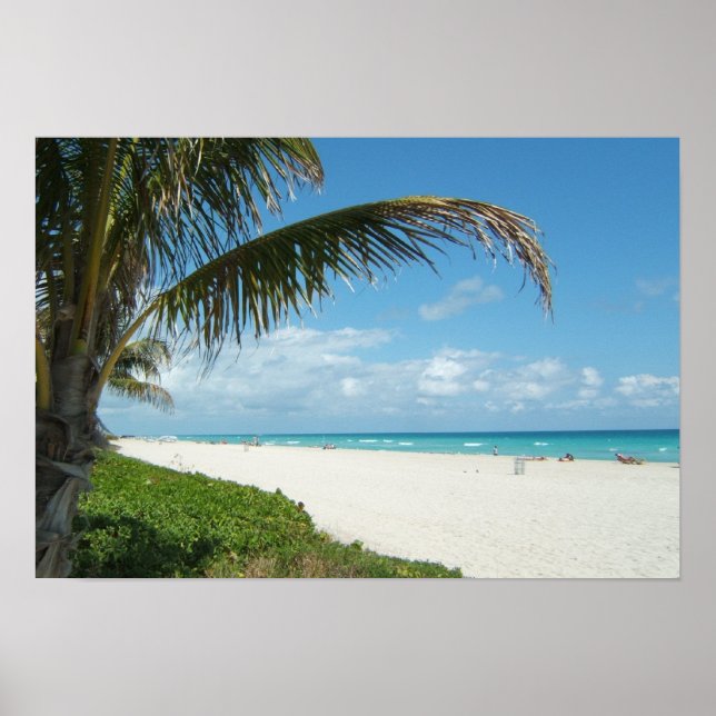 Poster Plage de sable blanc avec palmier (Devant)