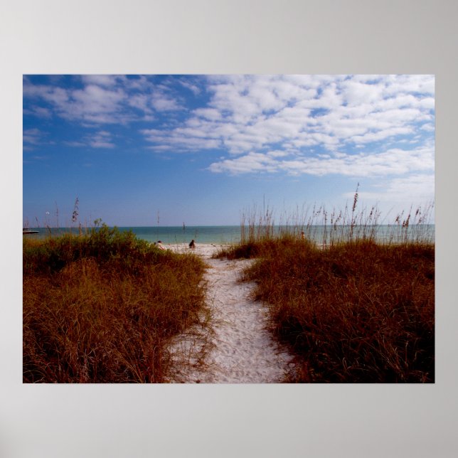 Poster Plage de Sanibel (Devant)