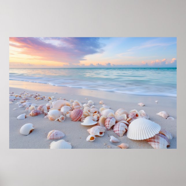 Poster Plage de Seashell Nature paisible (Devant)