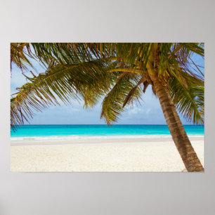 Poster Plage du Paradis tropical