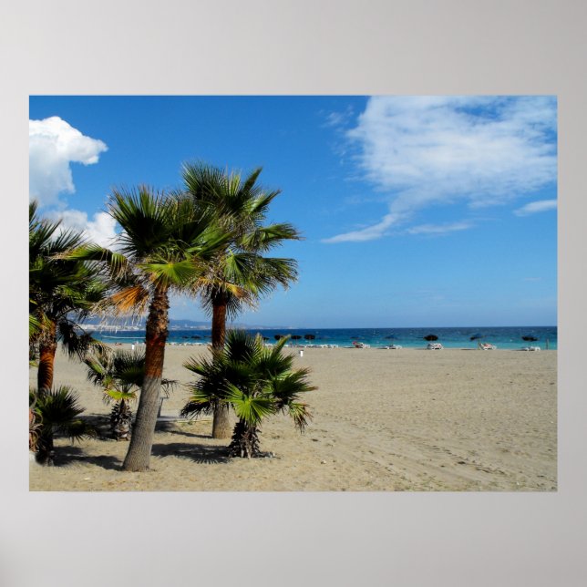 Poster Plage et palmiers à Puerto Banus (Devant)