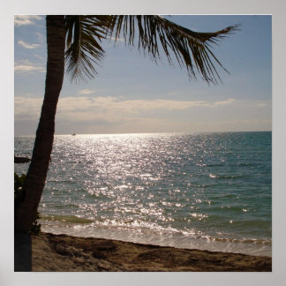 Poster Plage Florida Keys