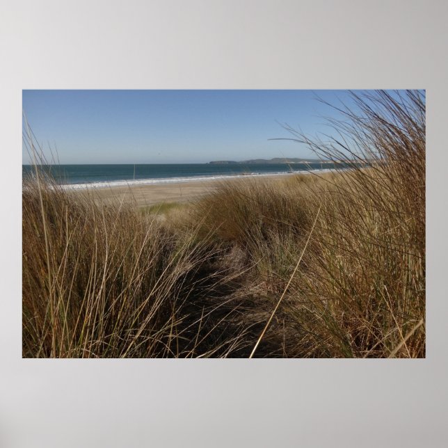 Poster Plage Limantour à Point Reyes National Seashore I (Devant)