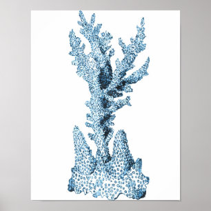 Poster Plage marine côtière corail mer bleu
