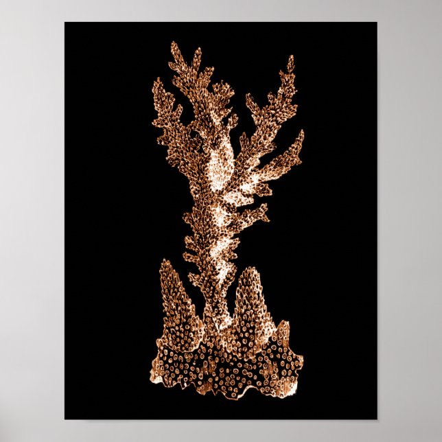 Poster Plage marine côtière corail mer noir (Devant)