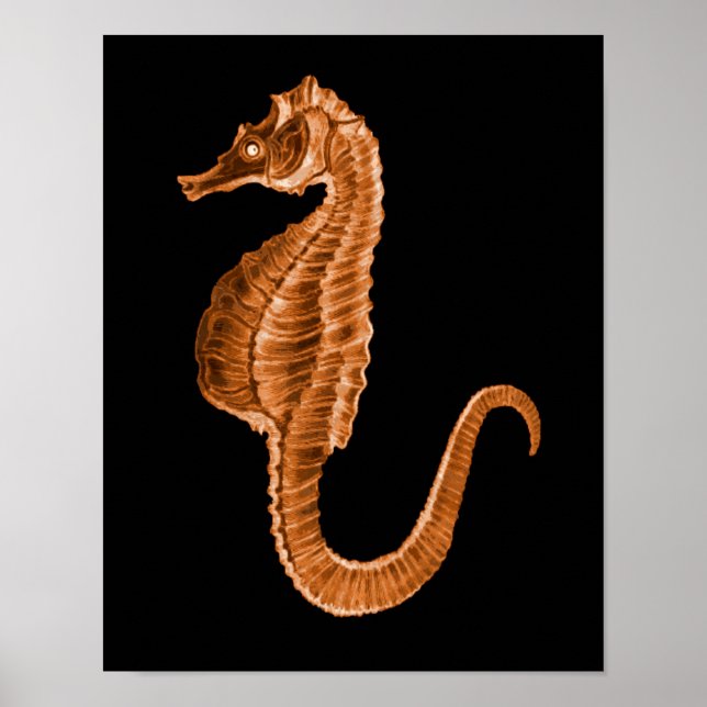 Poster Plage marine côtière de Seahorse mer noir (Devant)