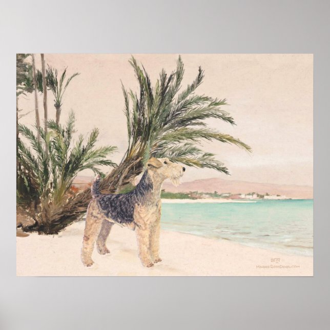 Poster Plage Palmy (Devant)