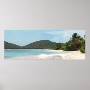Poster Plage Porto Rico du flamenco de Culebra