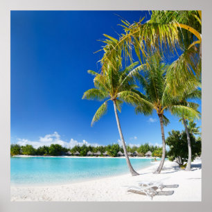 Poster Plage tropicale