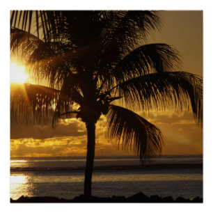 Poster Plage tropicale