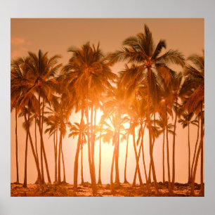 Poster Plage tropicale : pittoresque vue naturelle