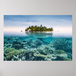 Poster Plages tropicales   Ari Atoll Maldives
