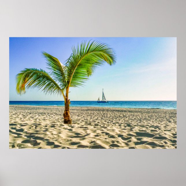 Poster Plages tropicales | Bateau, Palmier, Aruba (Devant)