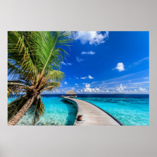 Poster Plages tropicales   Dusit Thani Maldives