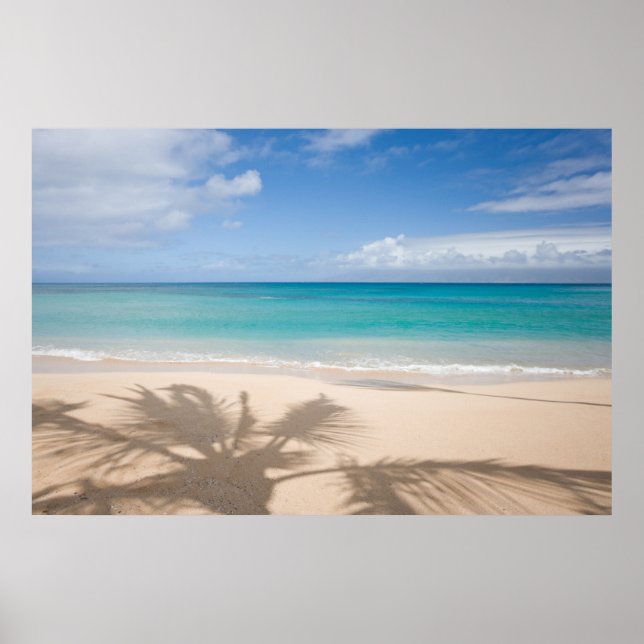 Poster Plages tropicales | Maui, Hawaii (Devant)